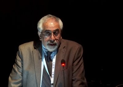 Professor Kamran Barin(USA)